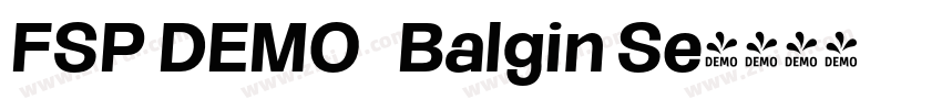 FSP DEMO   Balgin Se字体转换